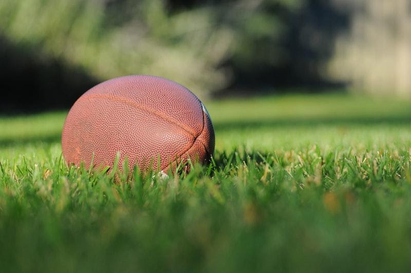 A red ball on grass

Description automatically generated with low confidence