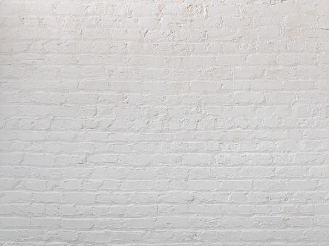 A white brick wall

Description automatically generated with medium confidence