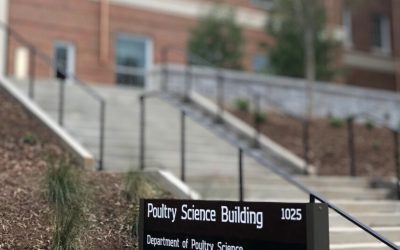 Commercial Project Spotlight: UGA Poultry Science Building