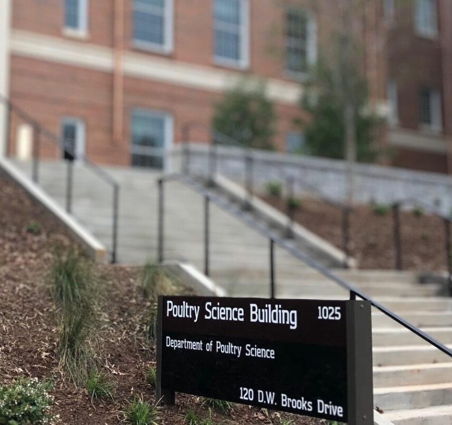 Commercial Project Spotlight: UGA Poultry Science Building - North ...