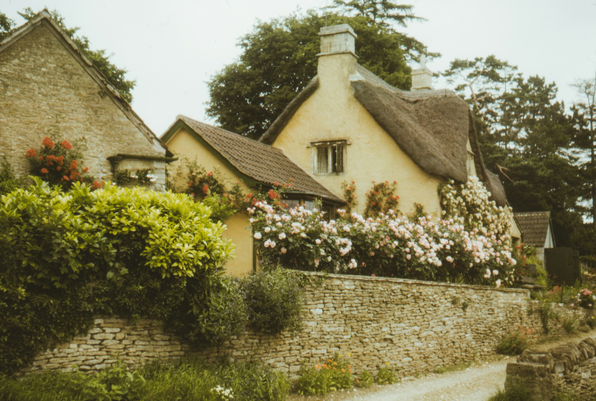 annie-spratt-rti3HfYJzOM-unsplash