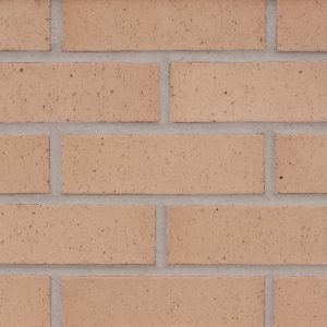 Beige Smooth