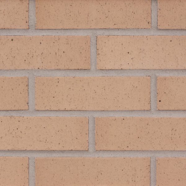 Beige Smooth