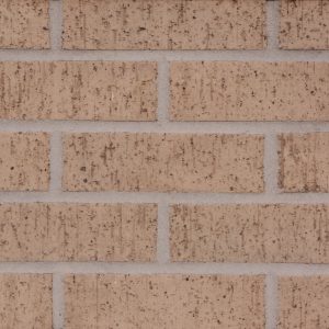 Beige Velour