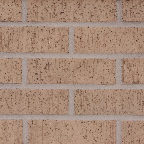 Beige Velour